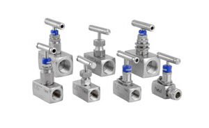 Needle and Gauge Valves
