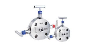Monoflange Valves